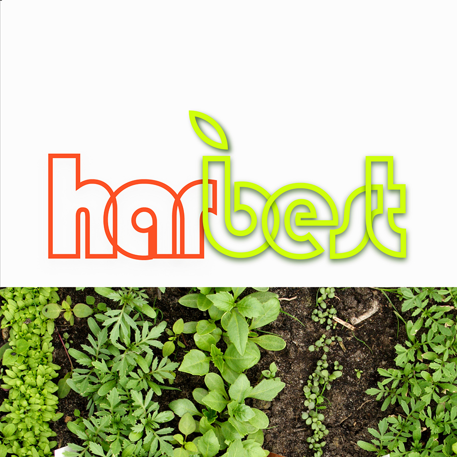 Logo Harbest